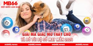 Giải Mã Giấc Mơ Thấy Chó Và Bỏ Túi Bộ Số May Mắn 2024