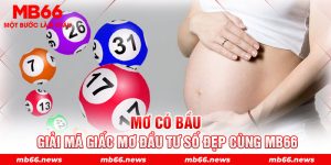 Mơ Có Bầu - Giải Mã Giấc Mơ Đầu Tư Số Đẹp Cùng MB66