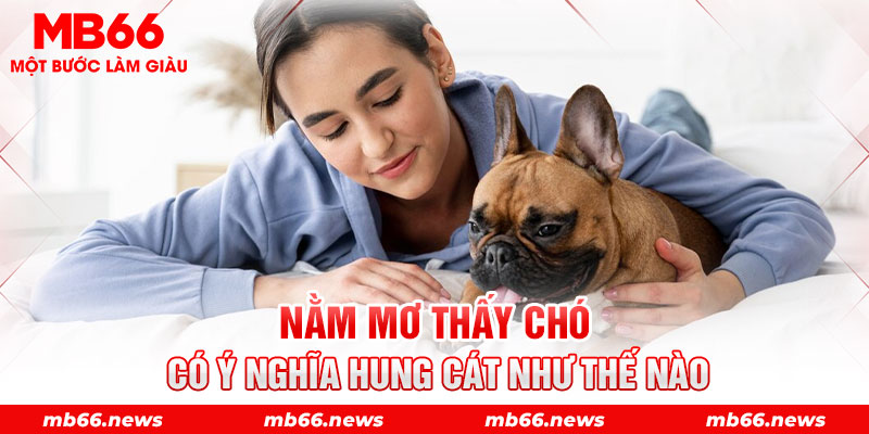 Nằm mơ thấy chó có ý nghĩa hung cát như thế nào