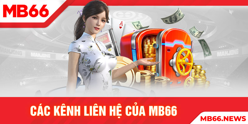 Các kênh liên hệ của MB66