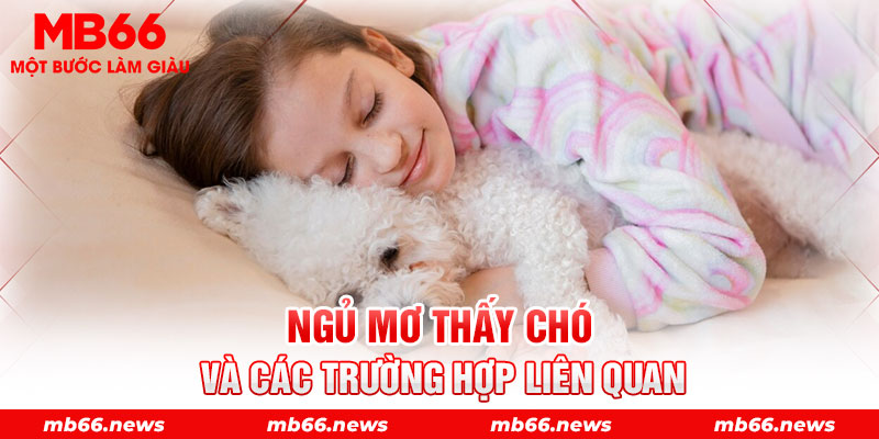 Ngủ mơ thấy chó và các trường hợp liên quan