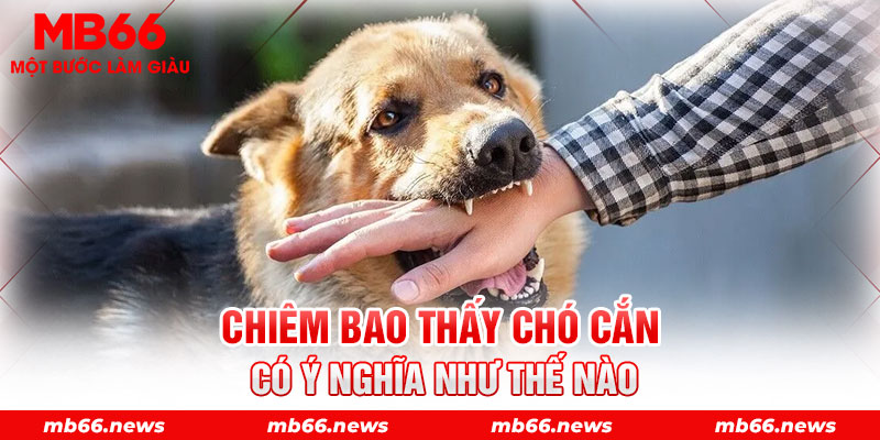 Chiêm bao thấy chó cắn có ý nghĩa như thế nào