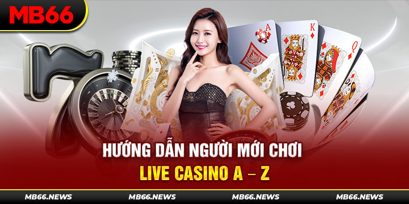 Hướng dẫn người mới chơi Live casino A – Z