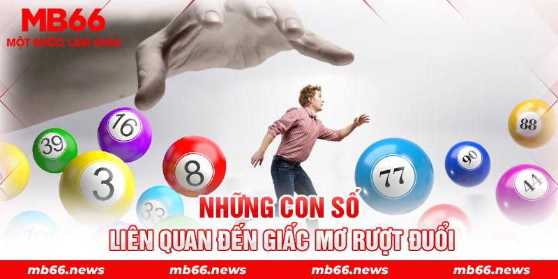 Những con số liên quan đến giấc mơ rượt đuổi