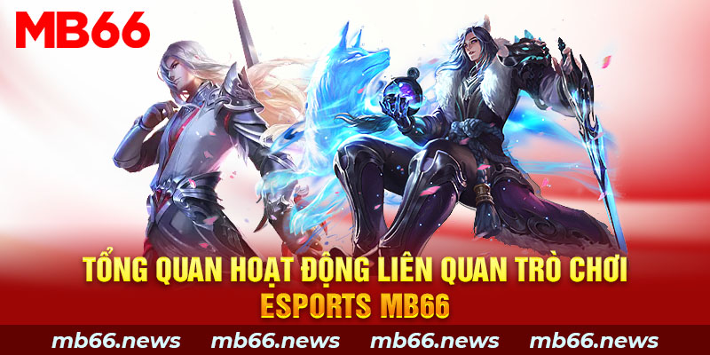 Tổng quan hoạt động liên quan trò chơi Esports MB66 