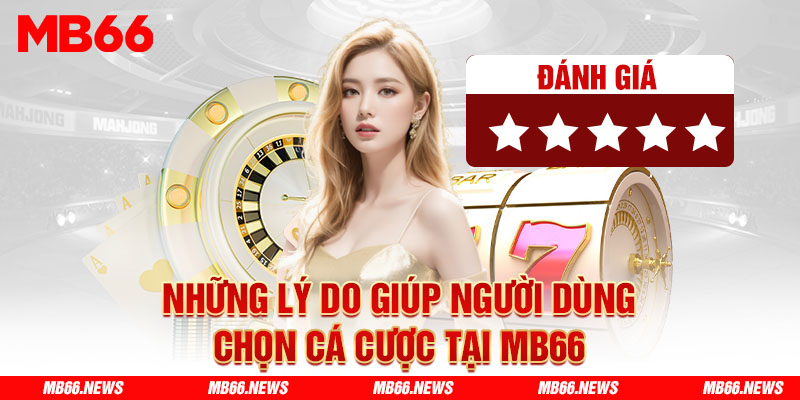 Những lý do giúp người dùng chọn cá cược tại MB66