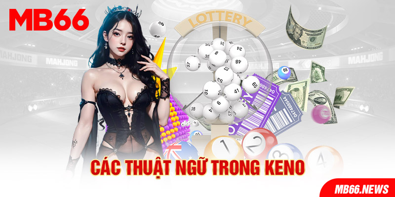 Các thuật ngữ trong Keno