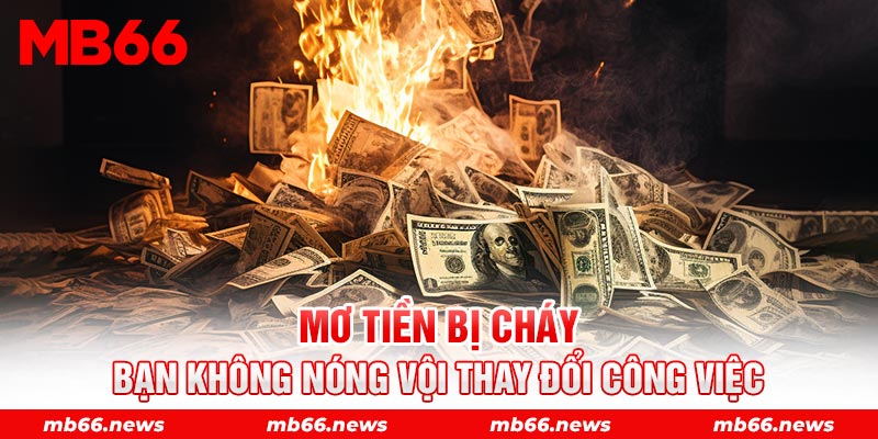 Mơ tiền bị cháy bạn không nóng vội thay đổi công việc