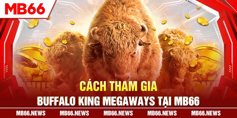 Cách tham gia Buffalo King Megaways tại MB66