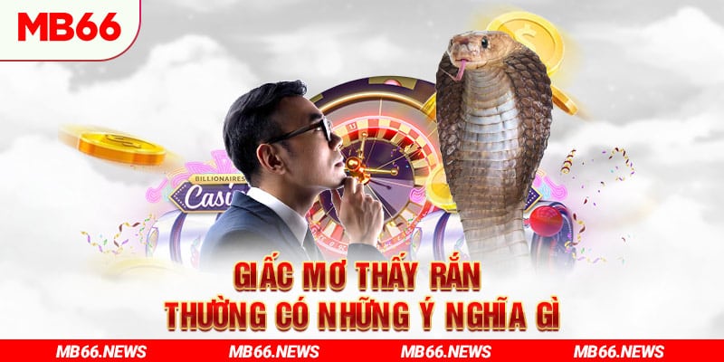 Giấc mơ thấy rắn thường có những ý nghĩa gì