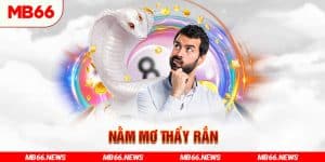 Nằm mơ thấy rắn