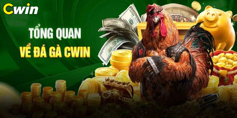 Giới thiệu đôi nét về đá gà Cwin